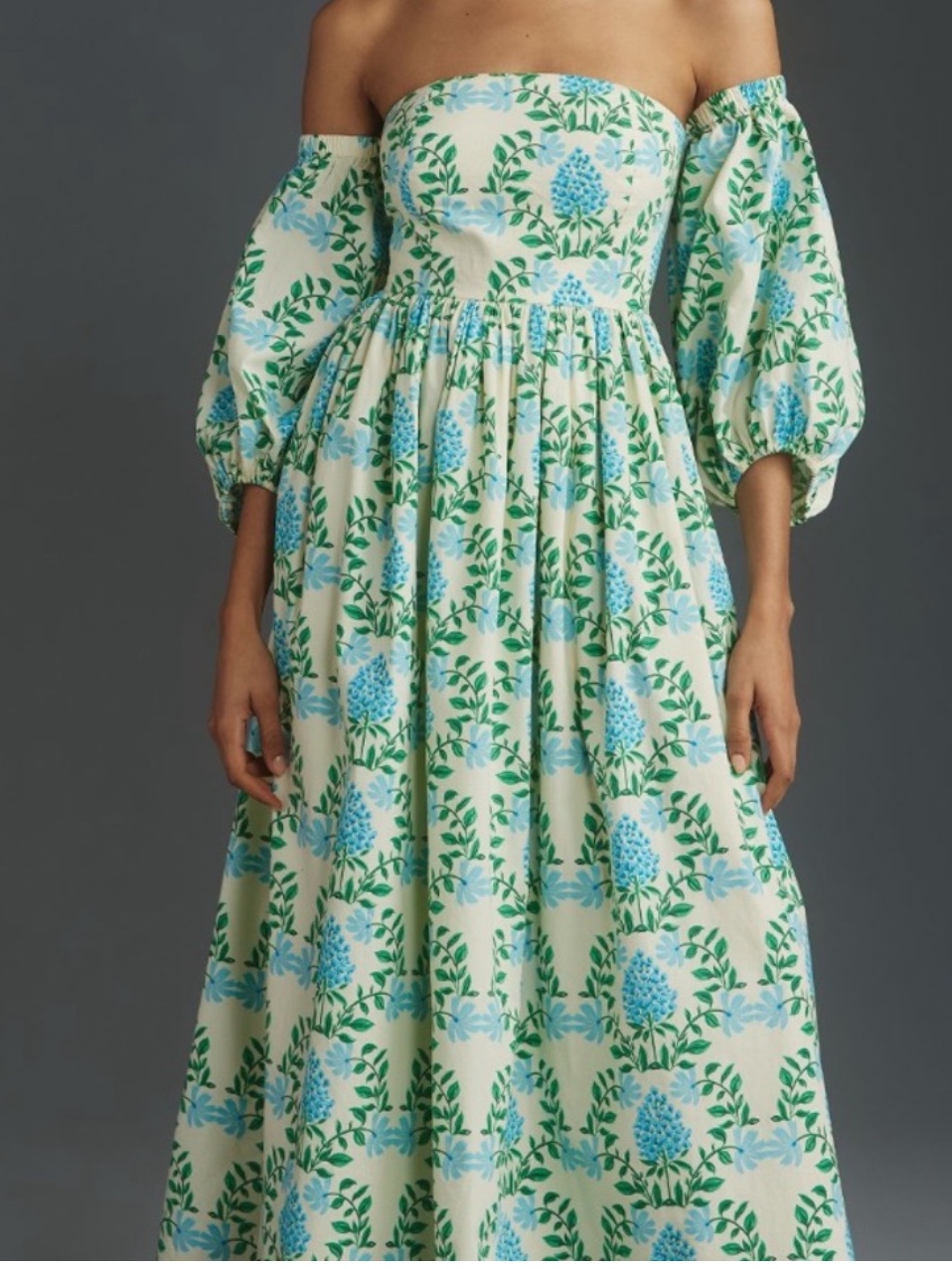 Anthropologie Floral Off-Shoulder Maxi Dress